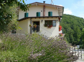 Solo Per Quattro Zocca